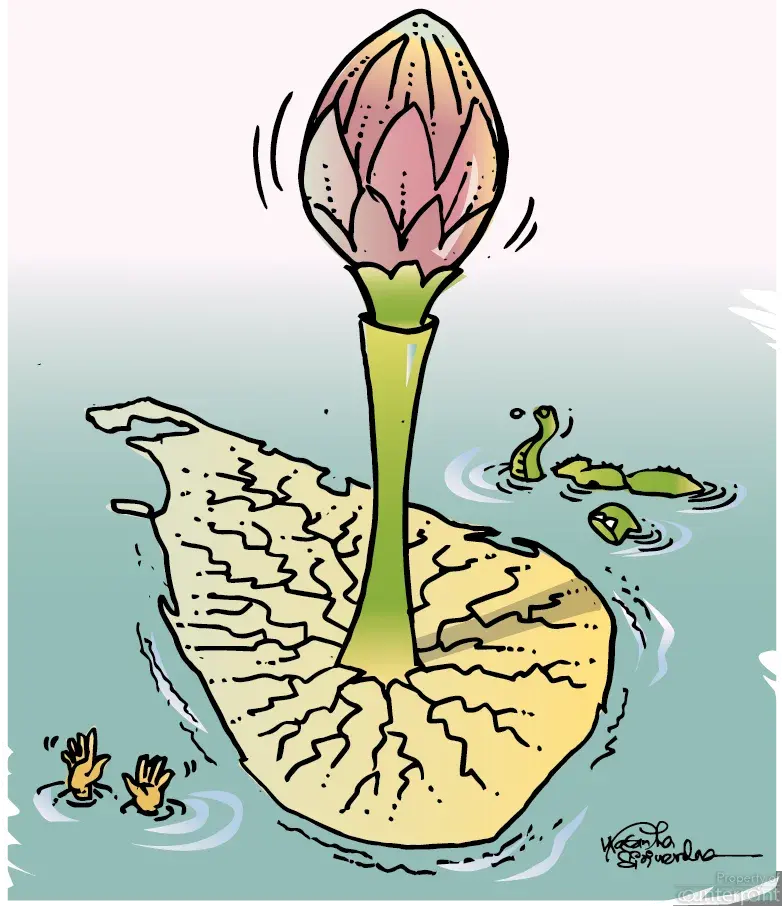 Feature Image