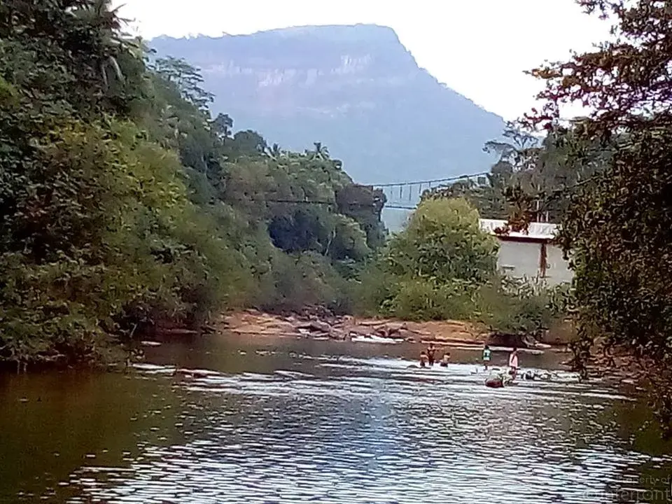 Feature Image