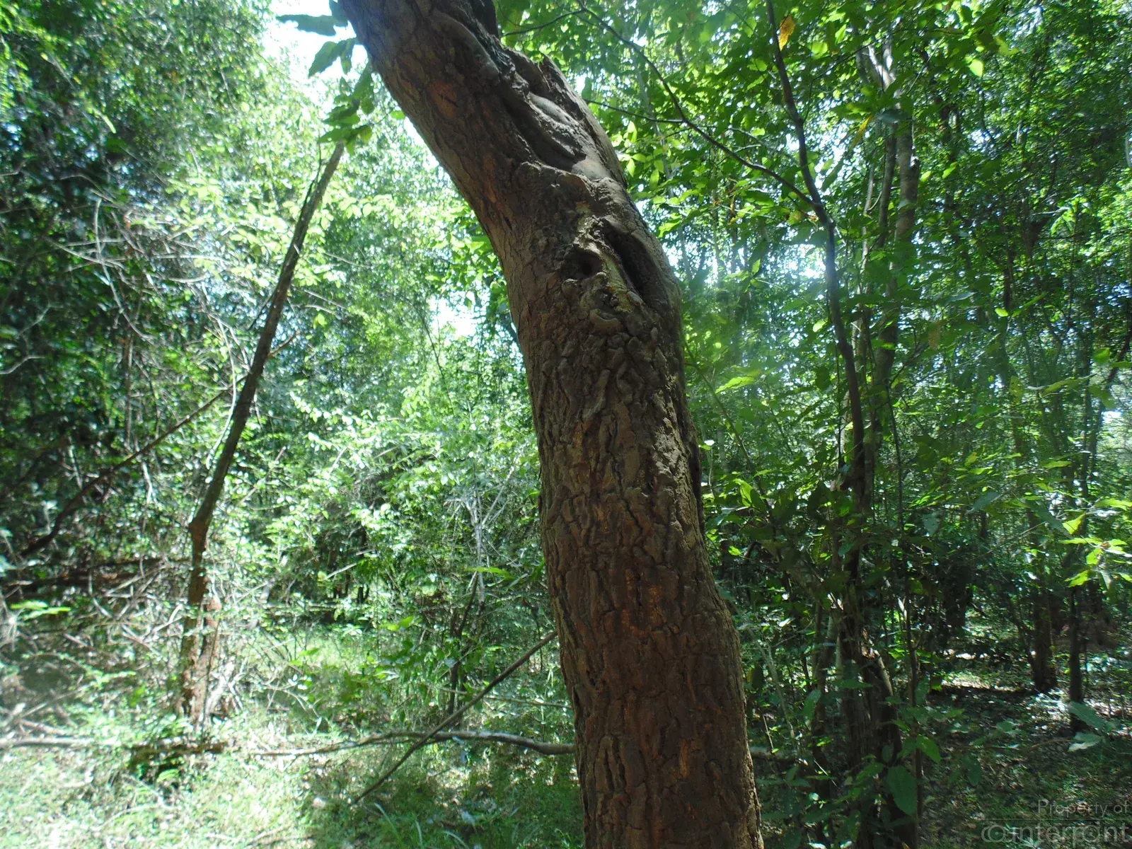 Feature Image