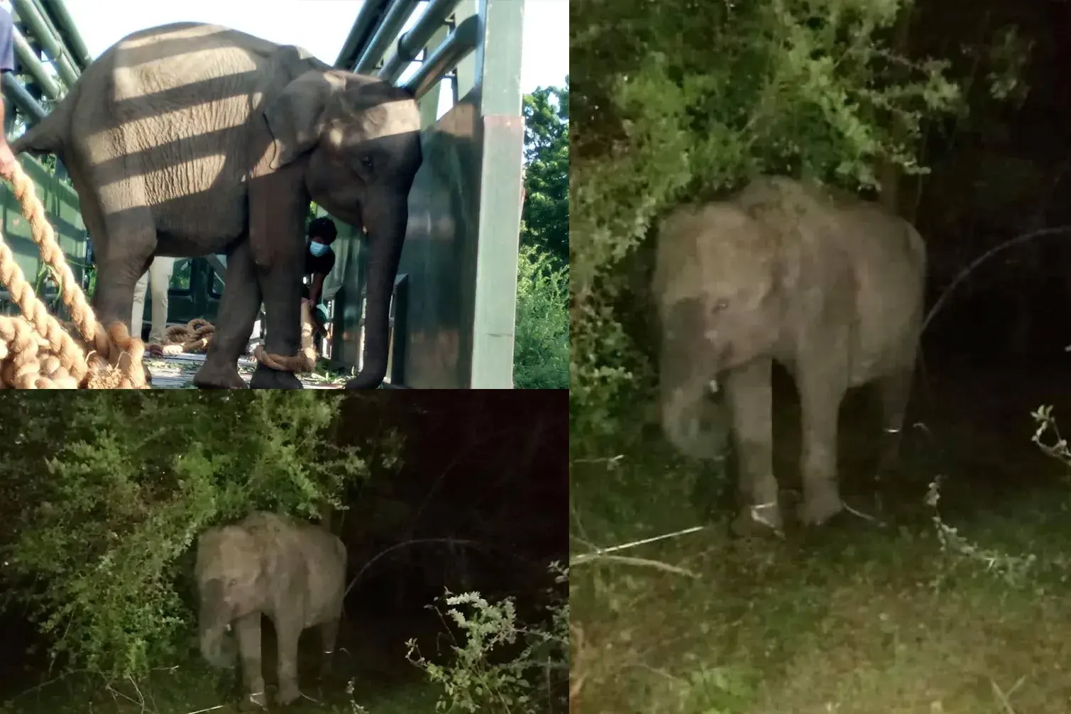 CounterPoint
