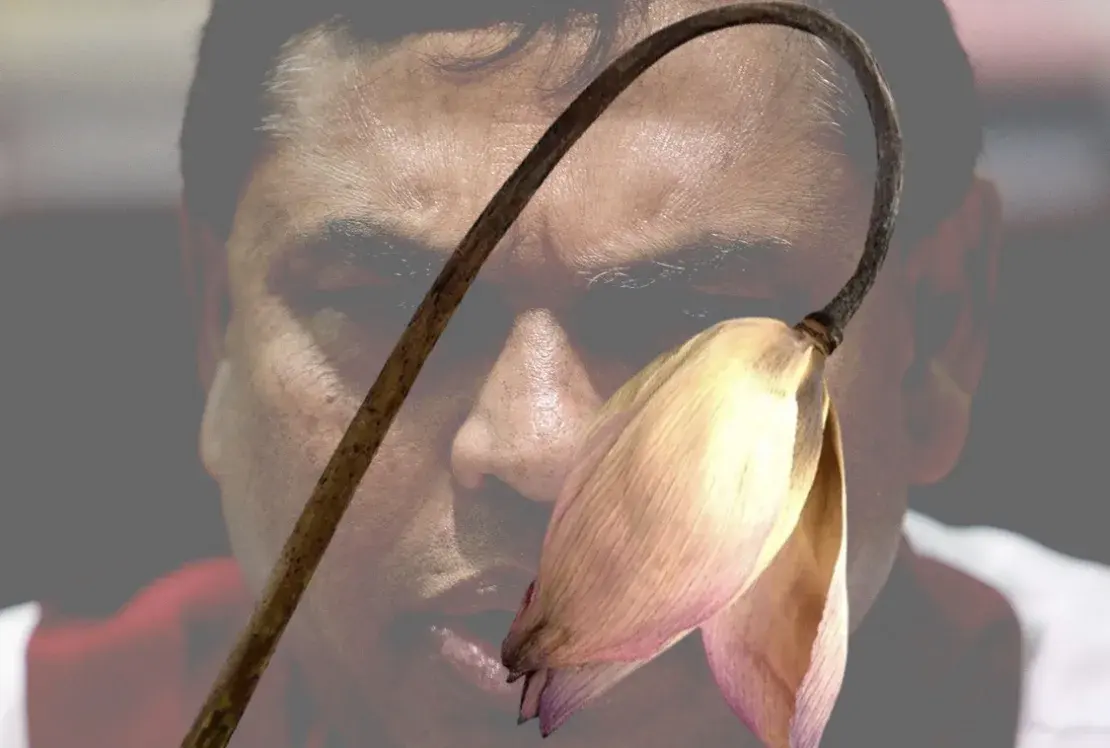 Feature Image