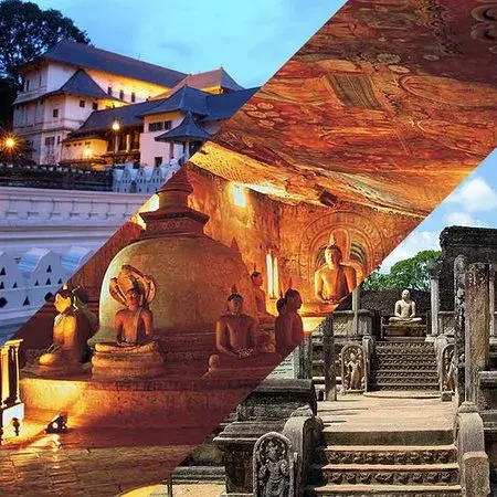 Feature Image