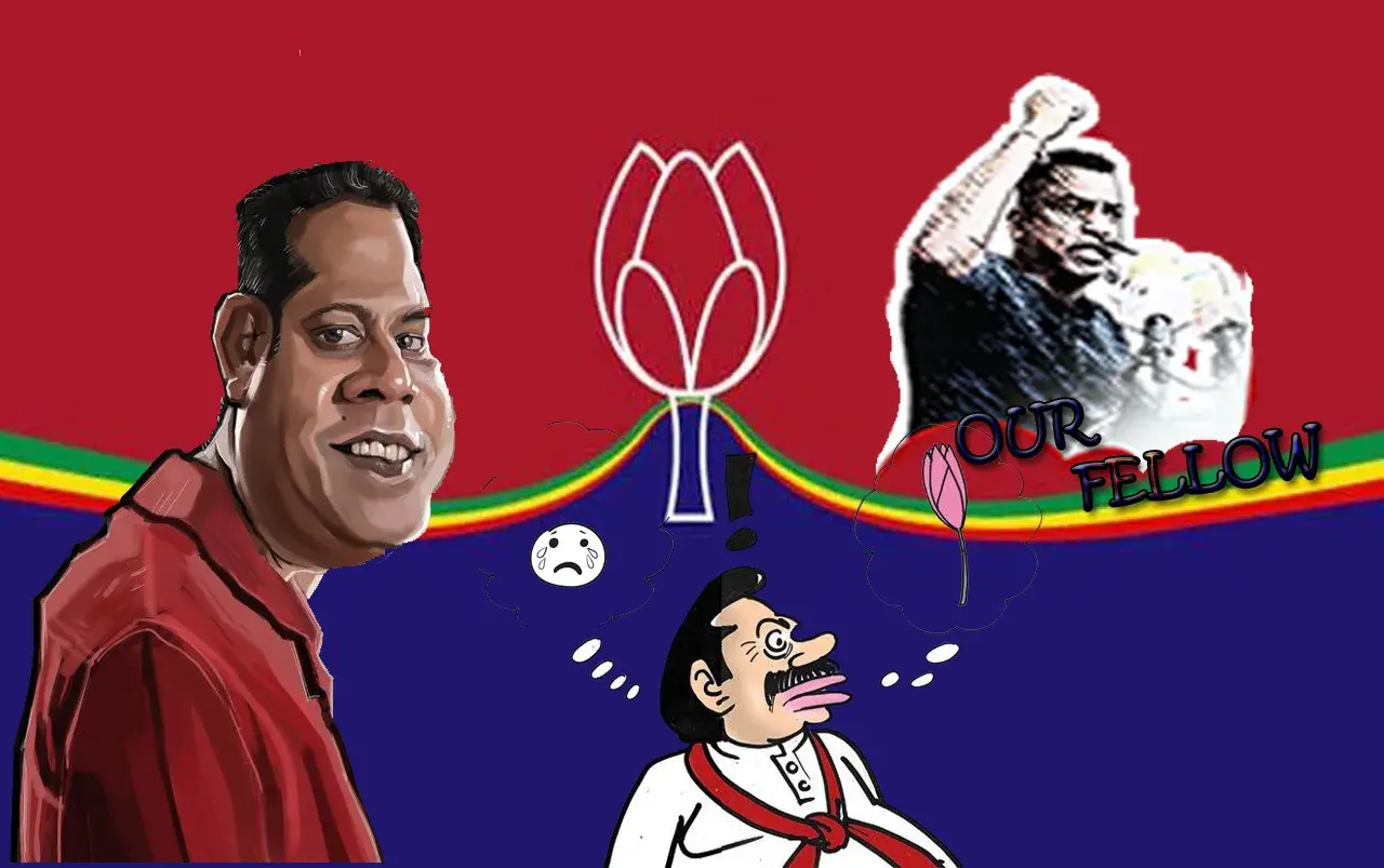 Feature Image