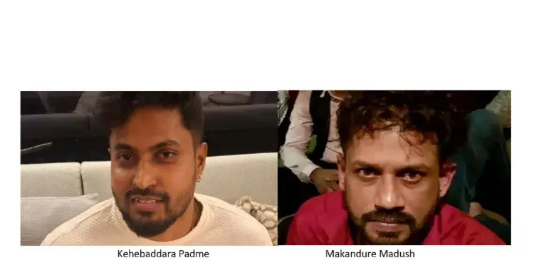 Feature Image