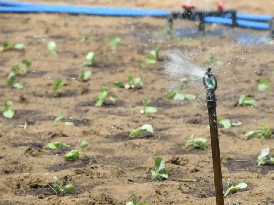 Sri Lanka to conduct nationwide agriculture census digitally