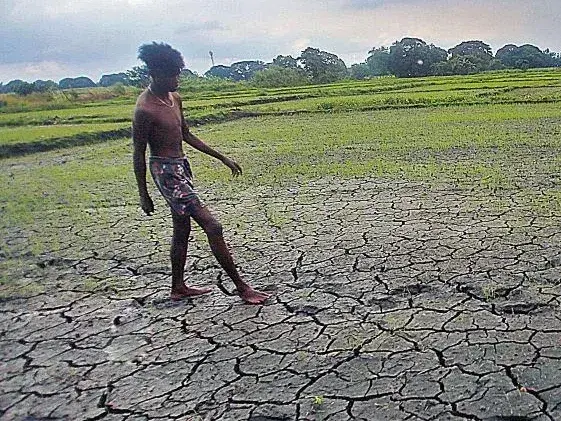 El Niño affects over 161,000 people in eight districts