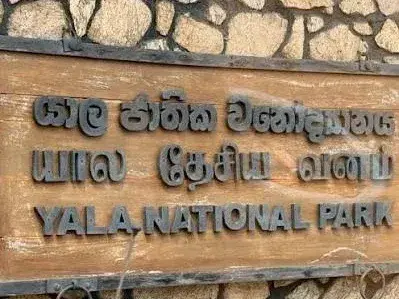 Yala National Park zones to close as extreme heat causes wildlife stress