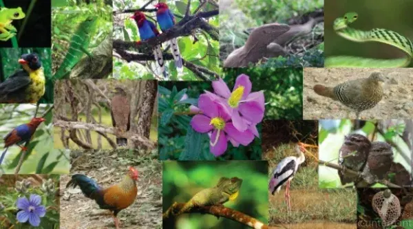 Feature Image