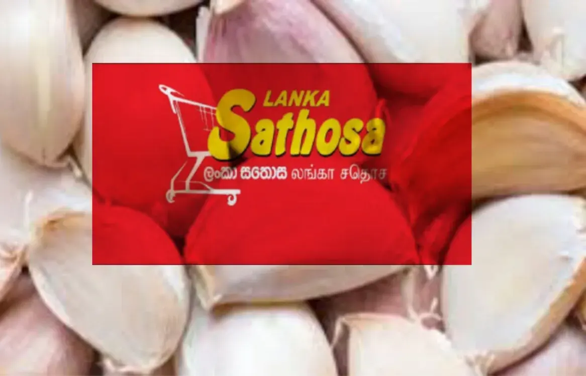 Feature Image