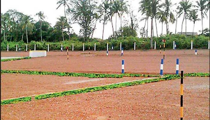 Feature Image