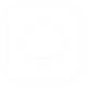 Social Icons