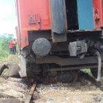 Trains must travel slowly through areas known to be frequented by elephants. (photo credit- Sri Lanka Wildlife Conservation Society)