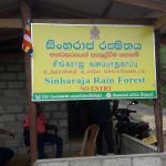 Community based organisations have been contributing towards saving the rain forest.