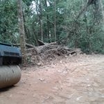 Attempts to build a road way through the forest.