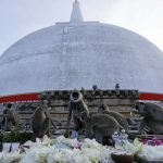 A group of monkies eat flowers and food offered by Buddhist devotees during a New Year religious ceremony at Ruwanwelisaya Stupa in Anuradhapura , Sri Lanka